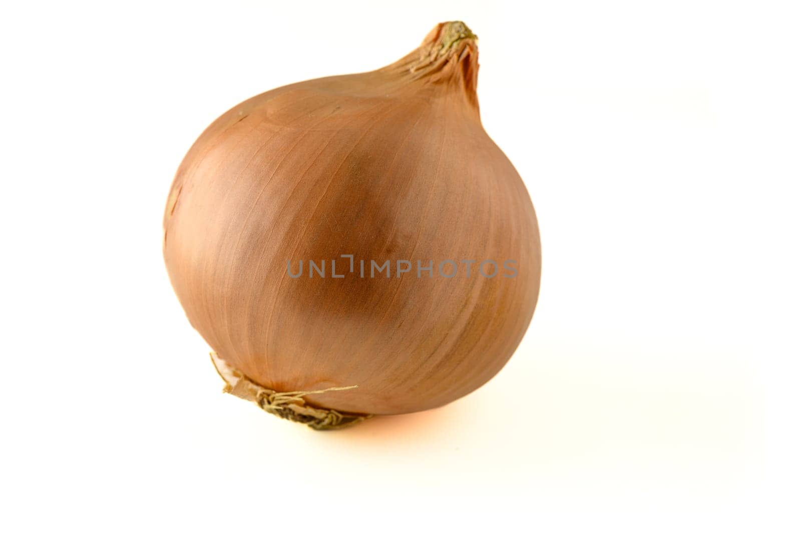 onion on white background in Cyprus 1