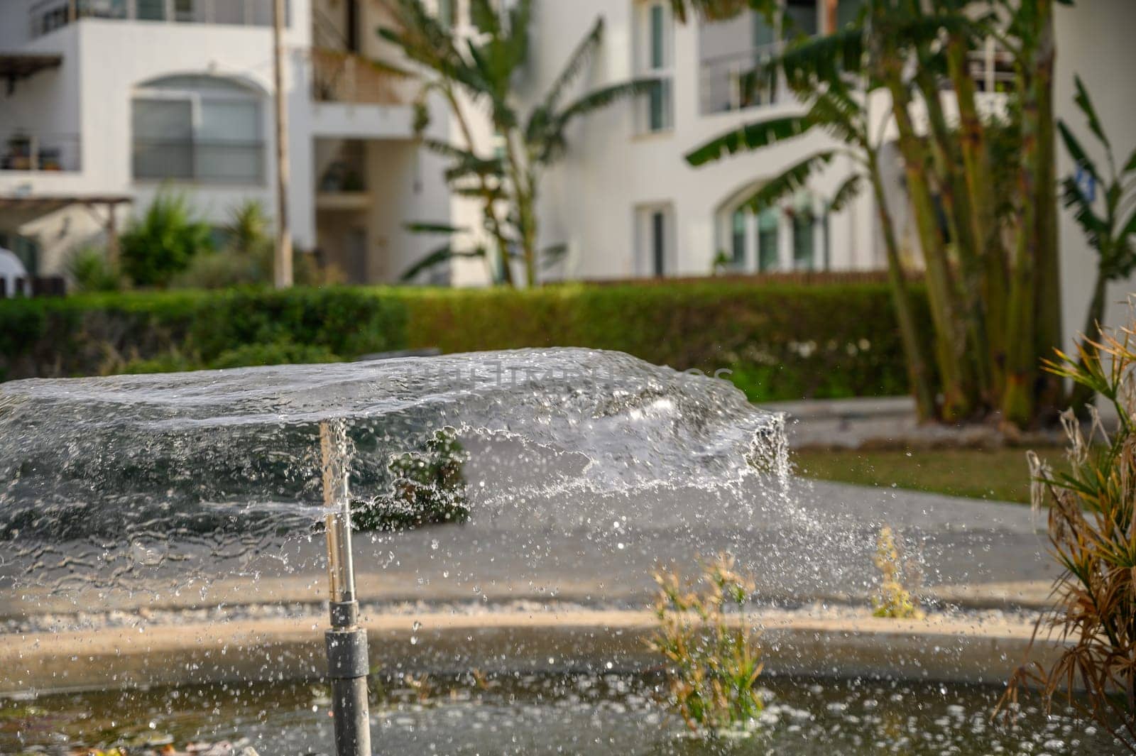 a fountain sprays water against the backdrop of a residential complex near the sea 5