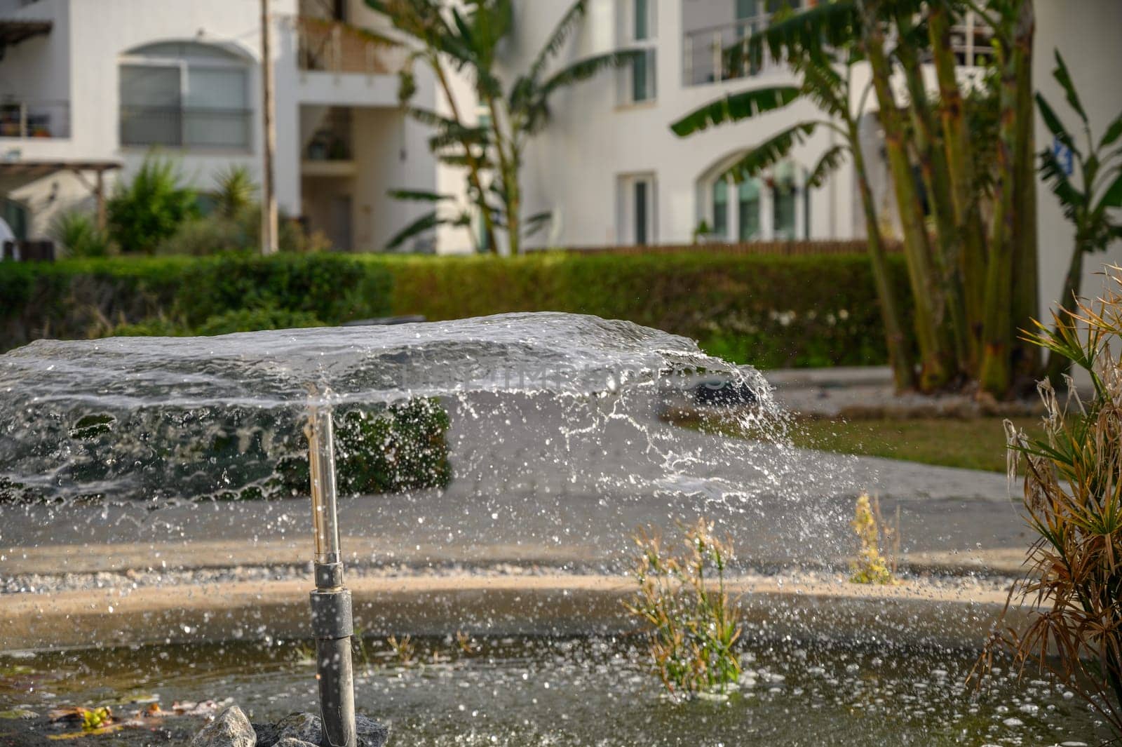 a fountain sprays water against the backdrop of a residential complex near the sea 6