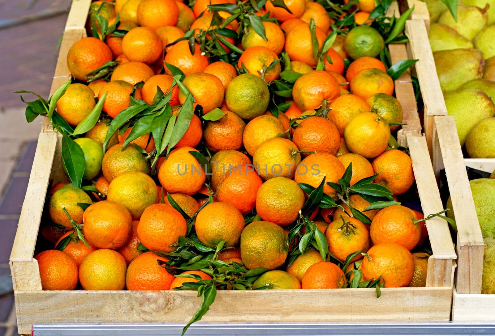 oranges in a box at the market. Fresh oranges or tangerines fruit with leaves in boxes at the open air local food market. Wholesale depot of exotic fruits. Local produce at the farmers market. by aprilphoto
