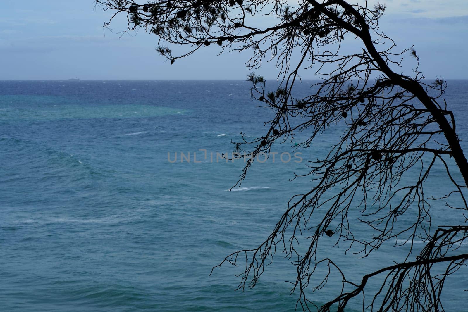 Top view over the sea beach. Beautiful sea waves. Sandy beach and stunning sea. Summer sunset seascape. Lloret de Mar beach. Spain. Beaches of the Costa Brava. Water texture. Sea and dry tree branches by aprilphoto