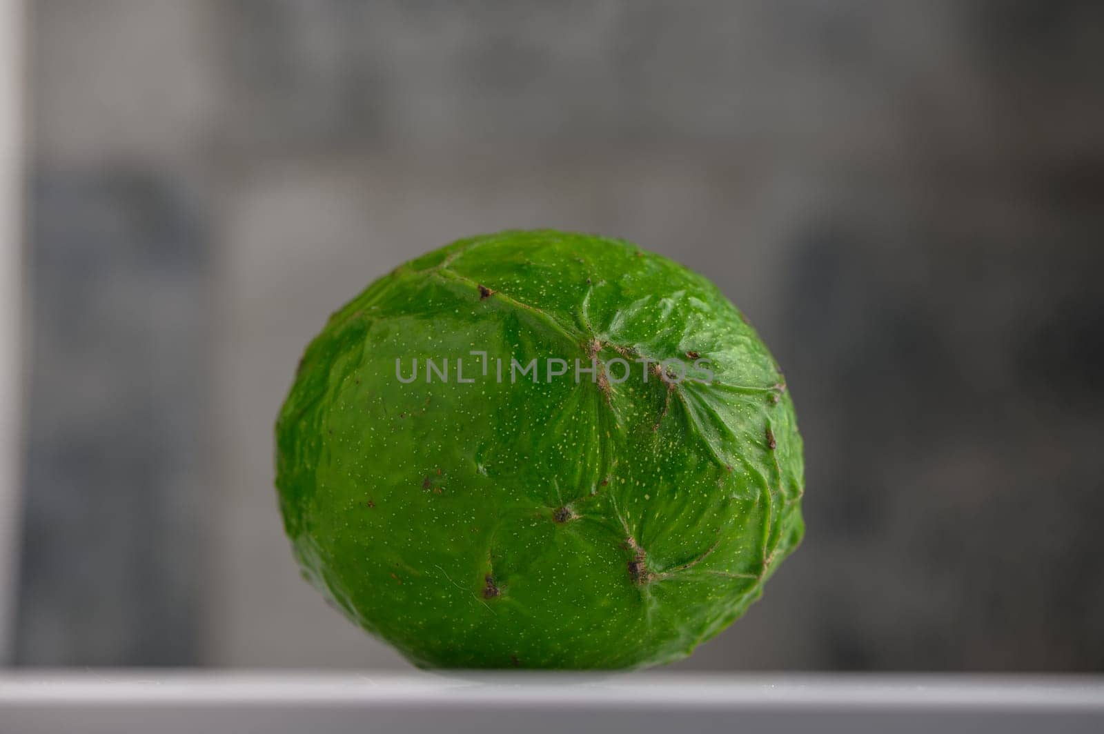 fresh avocado on white background 13 by Mixa74