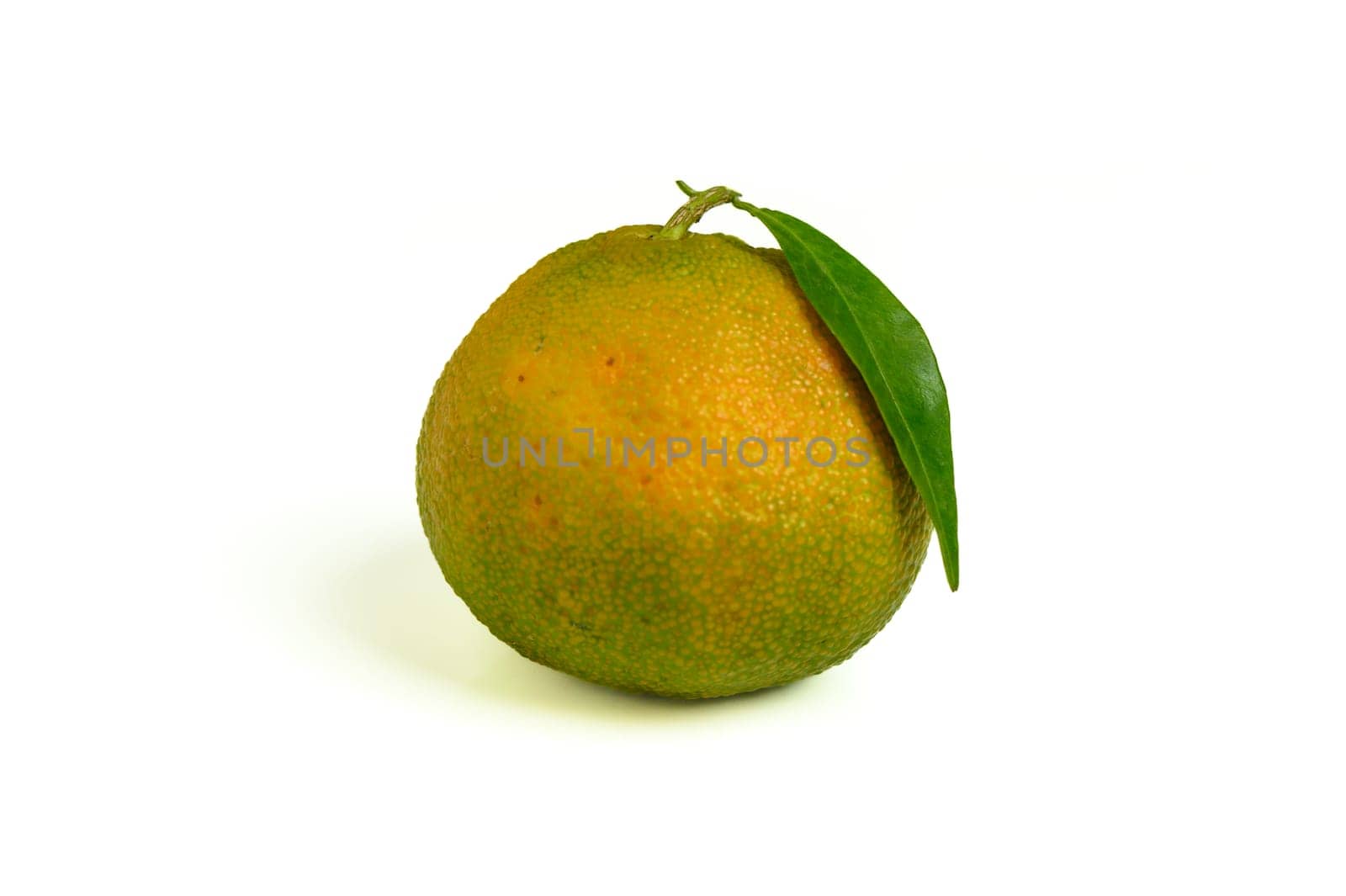 appetizing fresh tangerine on white background