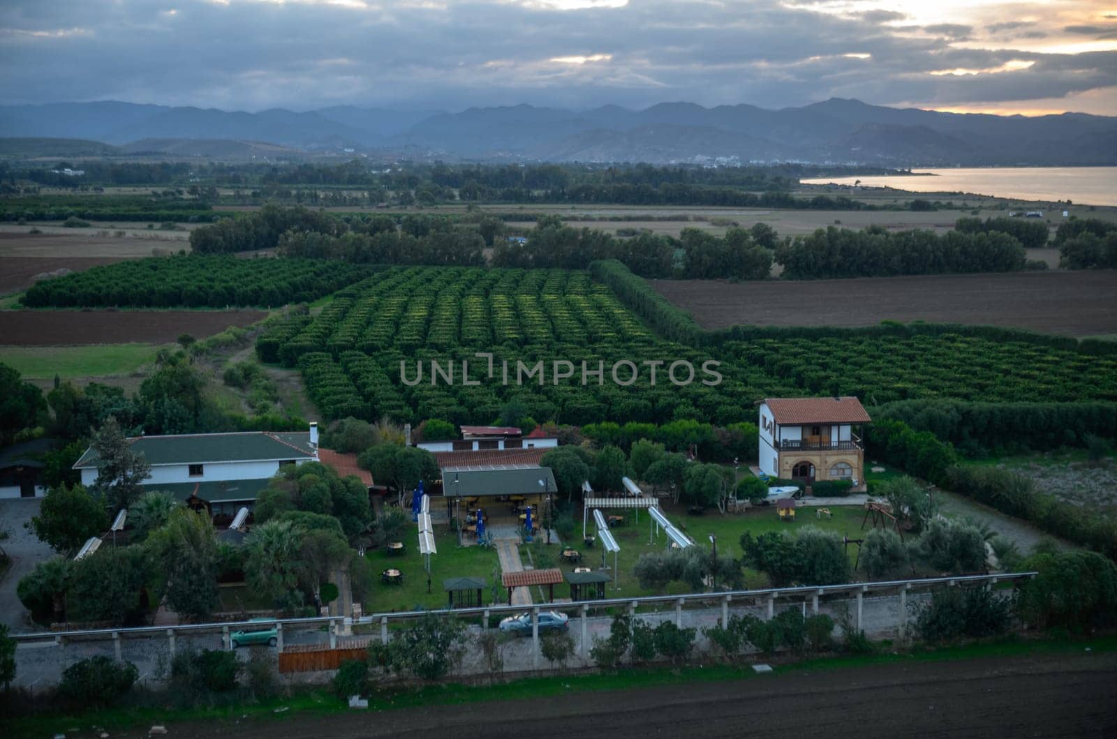 view from the roof of an orange garden on the island of Cyprus 1 by Mixa74