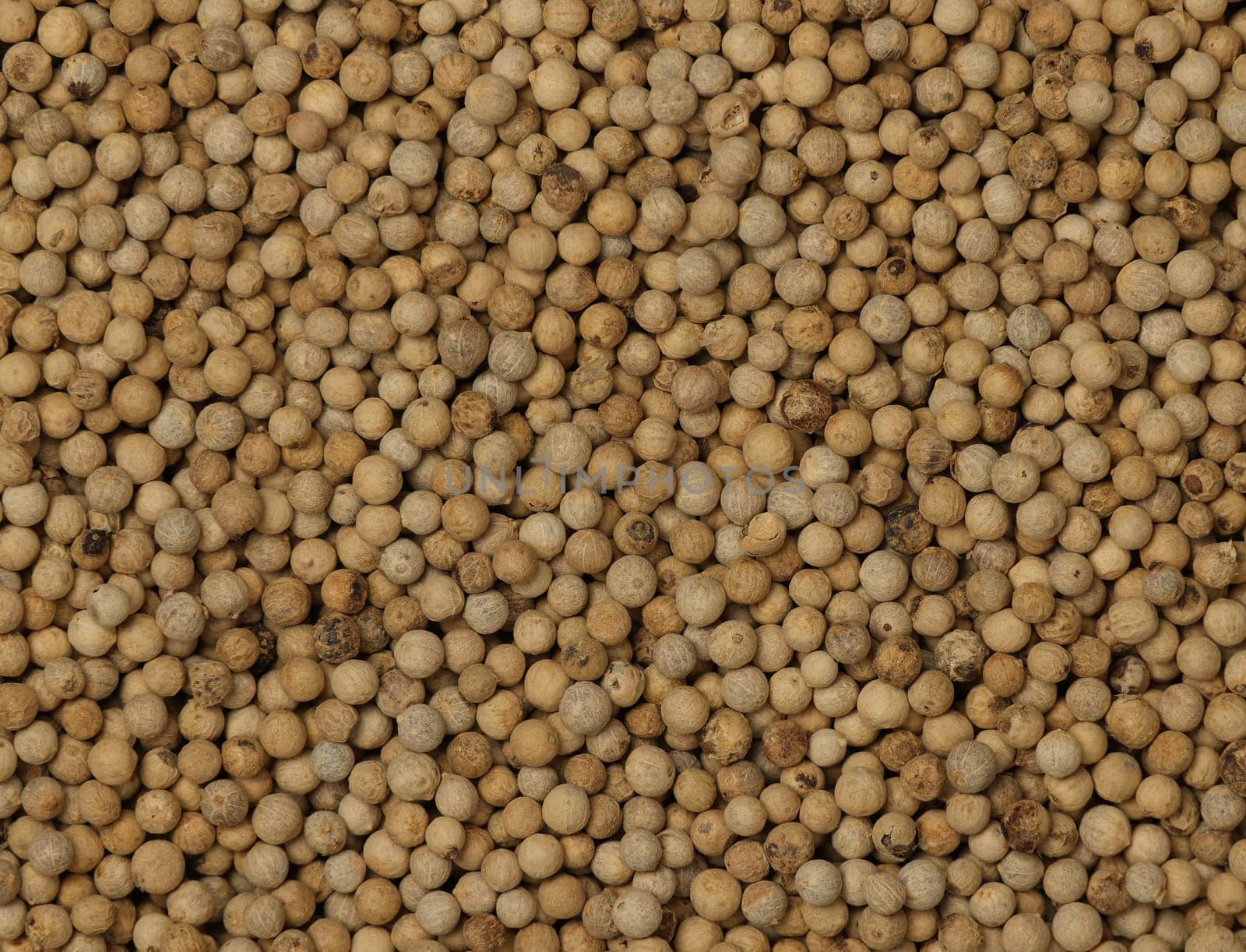 Background of white peppercorns, natural spice condiment pattern texture, elevated top view, directly above