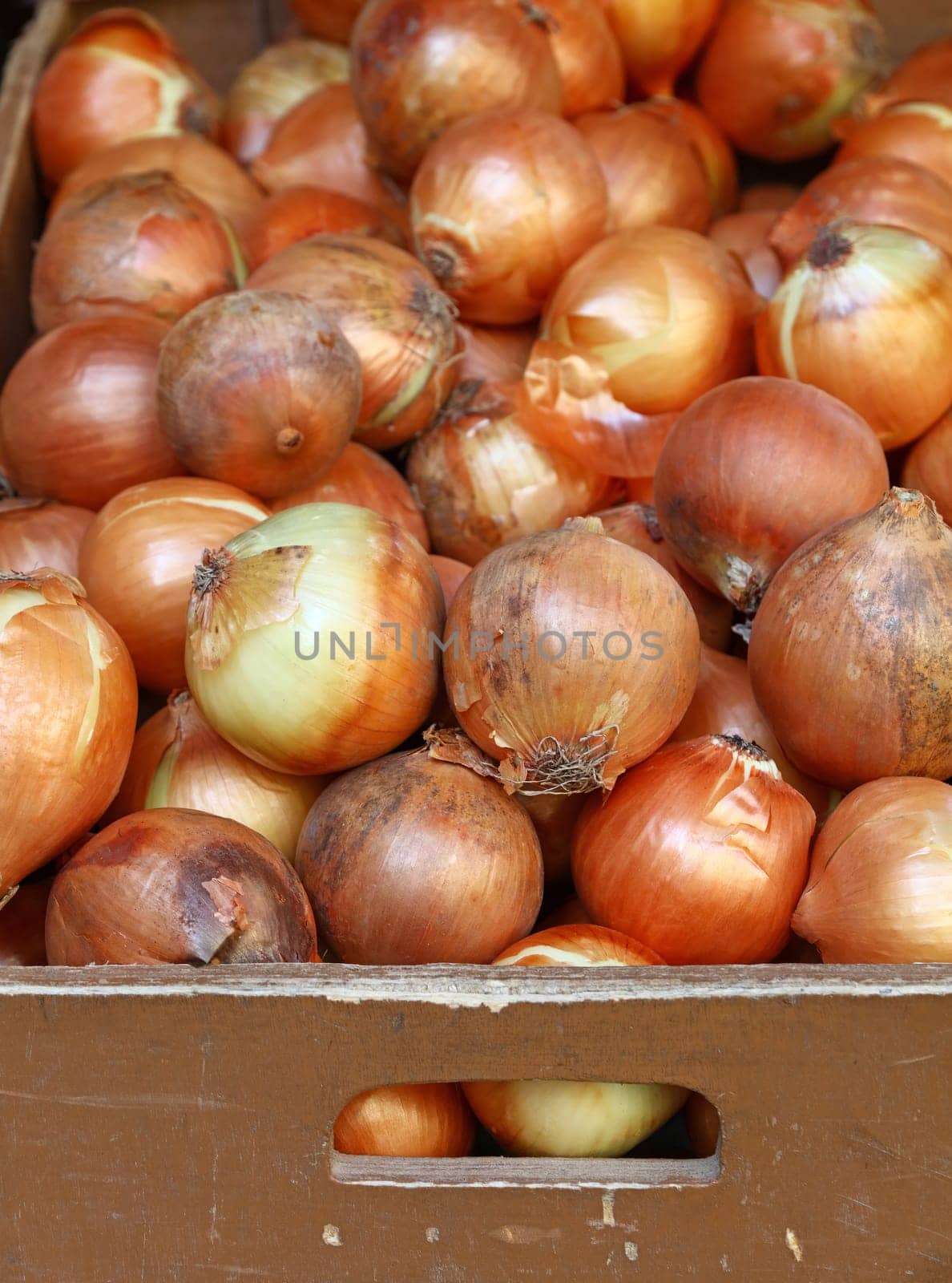 Close up fresh yellow onion in wooden box at retail display of farmer market, high angle view