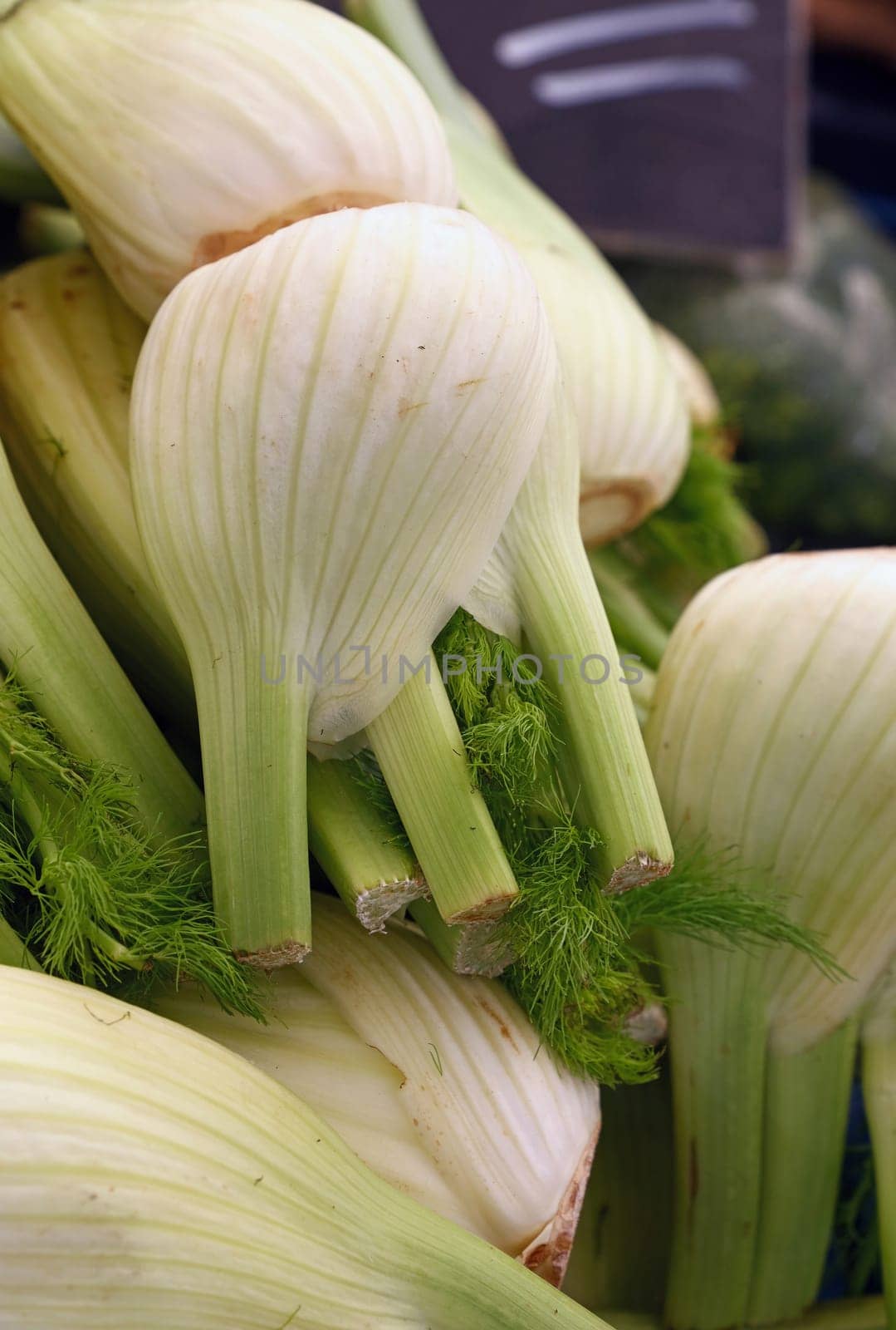 Close up fresh green fennel at retail display of farmer market, high angle view