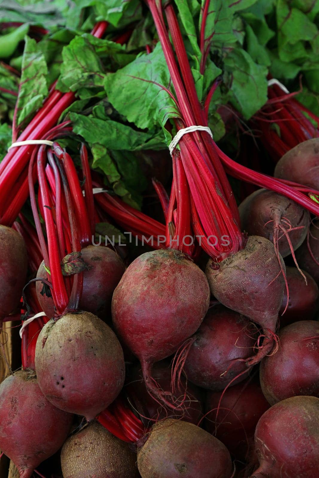 Close up heap of fresh new red beet bunches by BreakingTheWalls