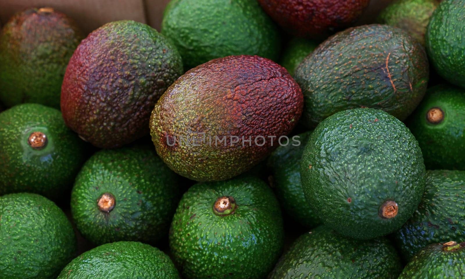 Close up many fresh ripe ready to eat green and purple avocado at retail display of farmer market, high angle view