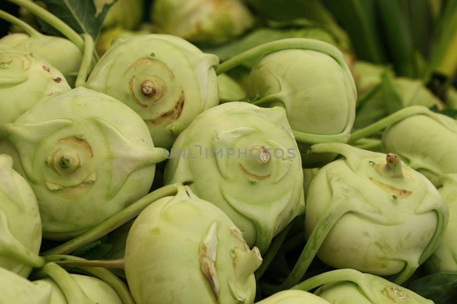 Fresh green kale turnip kohlrabi by BreakingTheWalls