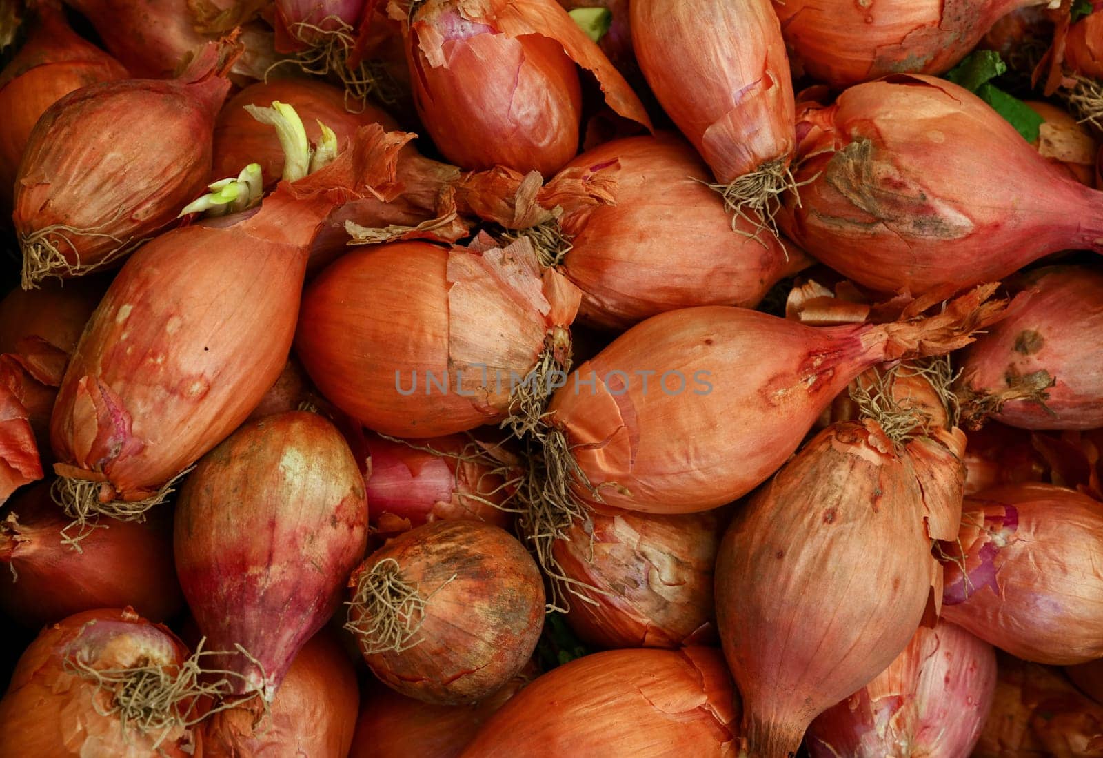 Close up fresh red onion at retail display of farmer market, high angle view