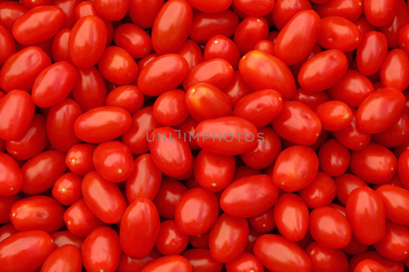 Close up fresh red cherry tomatoes at retail display of farmer market, high angle view