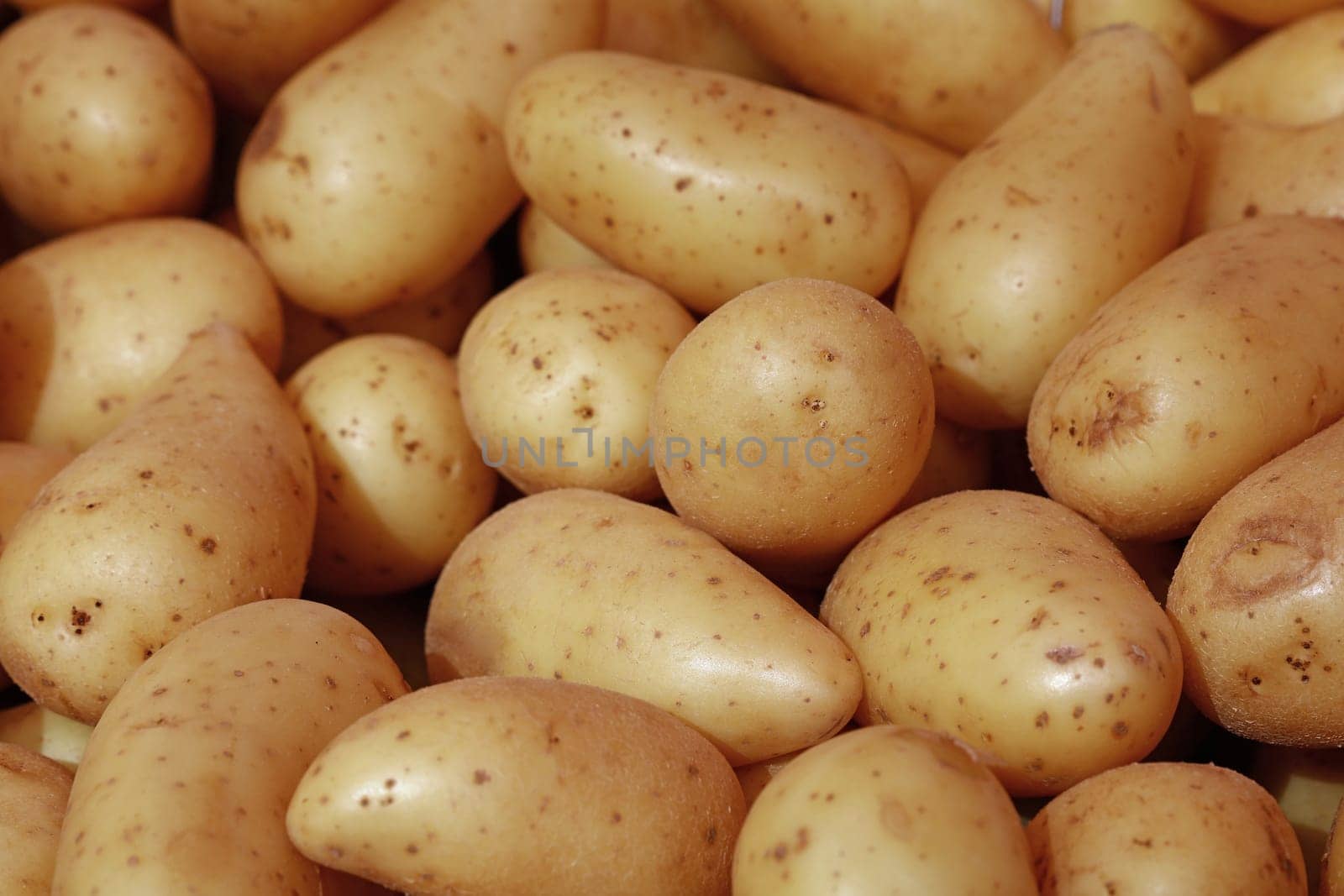 Close up heap of many fresh washed new farm potato at retail display of farmer market, high angle view