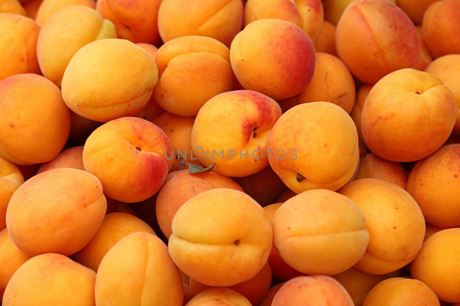 Close up fresh apricots at retail display of farmer market, high angle view