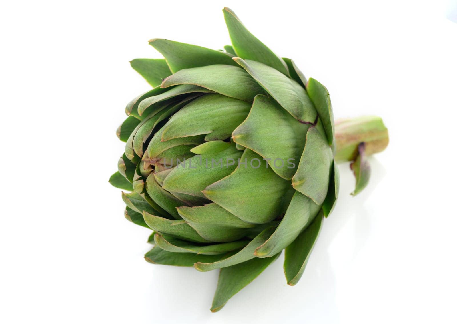 fresh artichoke on white background 4 by Mixa74