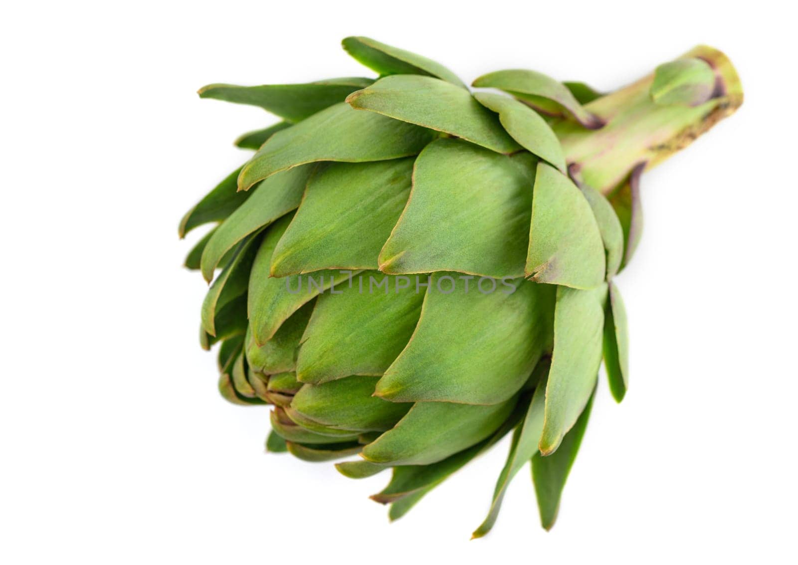 fresh artichoke on white background 3 by Mixa74