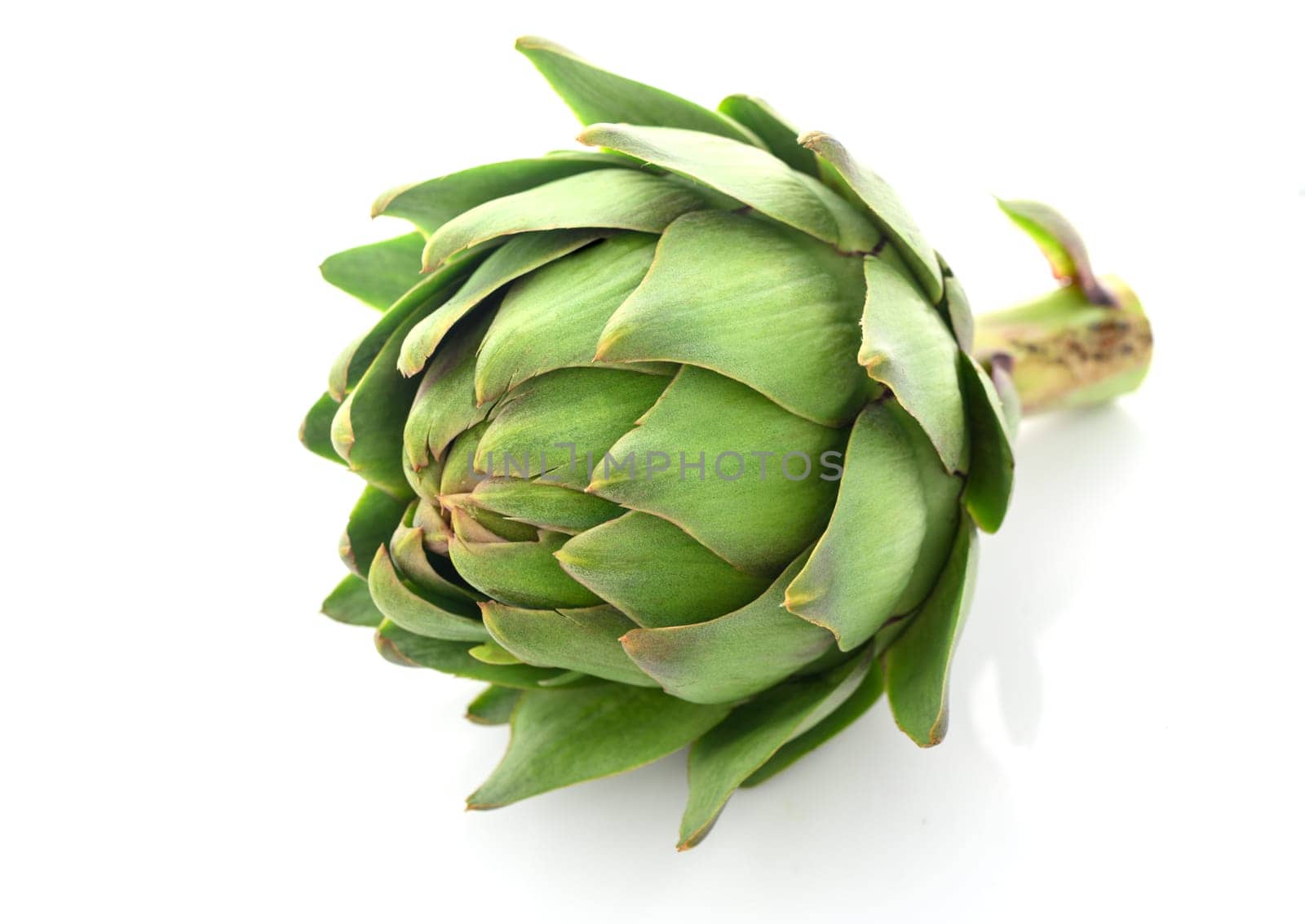 fresh artichoke on white background 5 by Mixa74