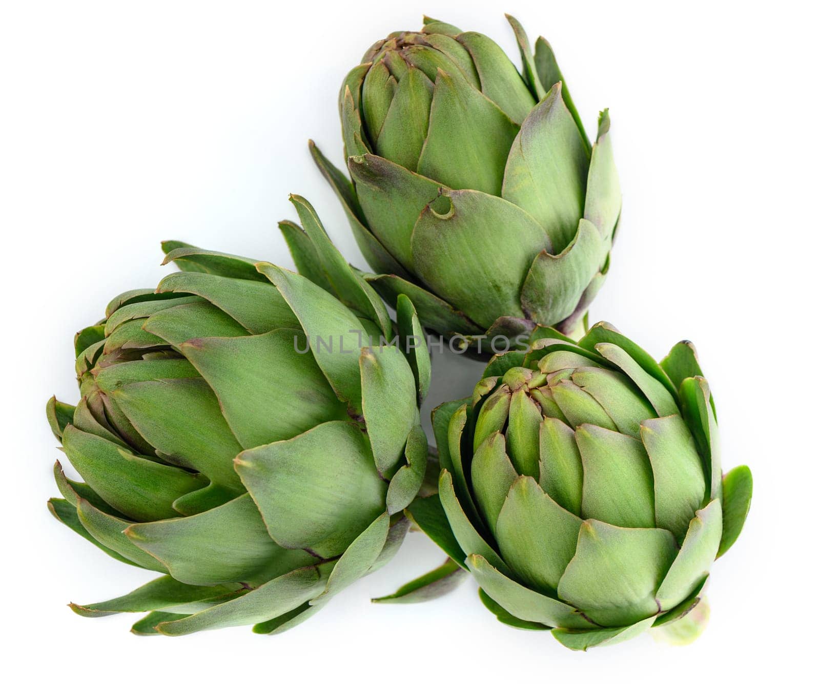 fresh artichoke on white background 2 by Mixa74