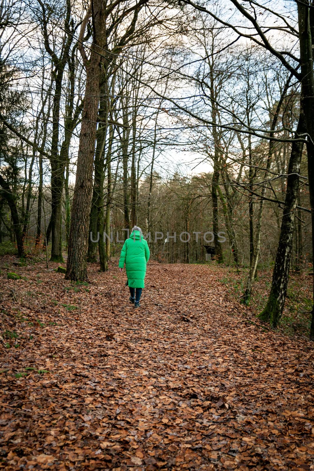 an adult woman walking on a trail in the forest by compuinfoto
