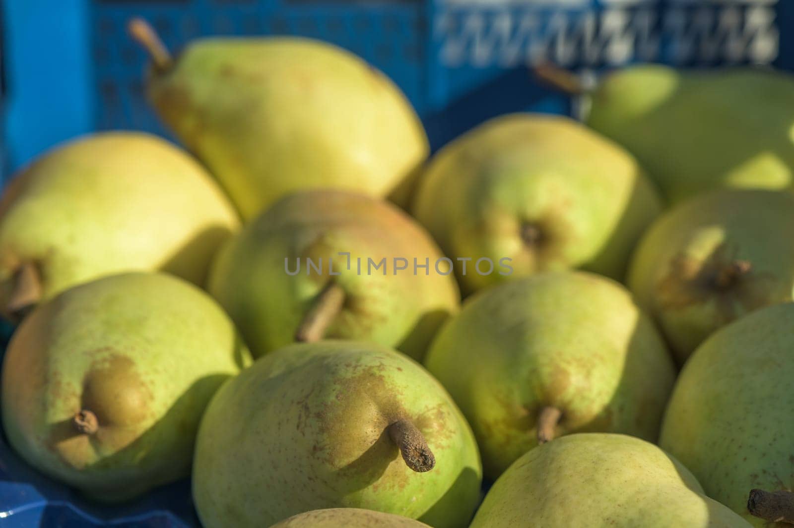 green pears in a box near the store 1