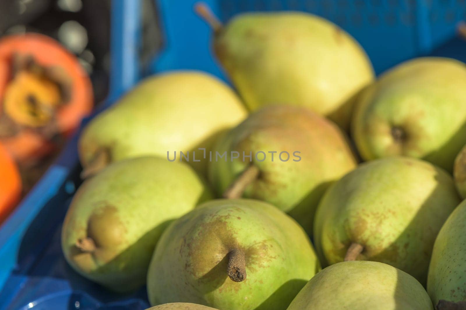 green pears in a box near the store