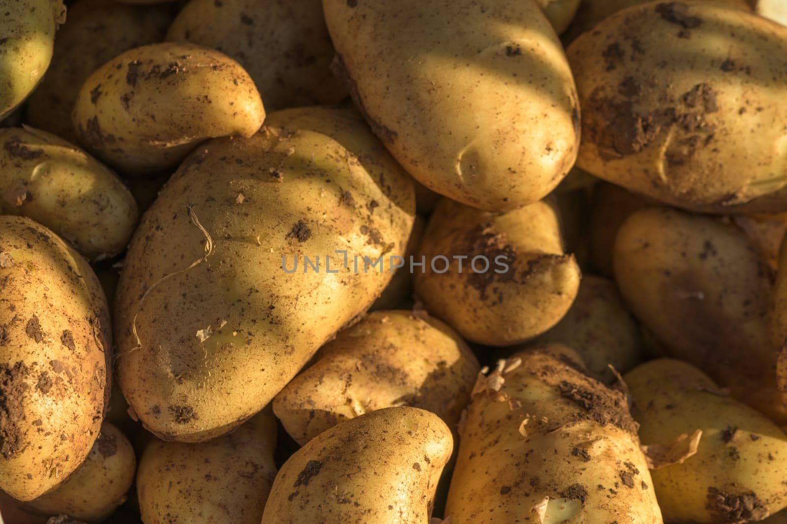 potatoes in a box near the store 1