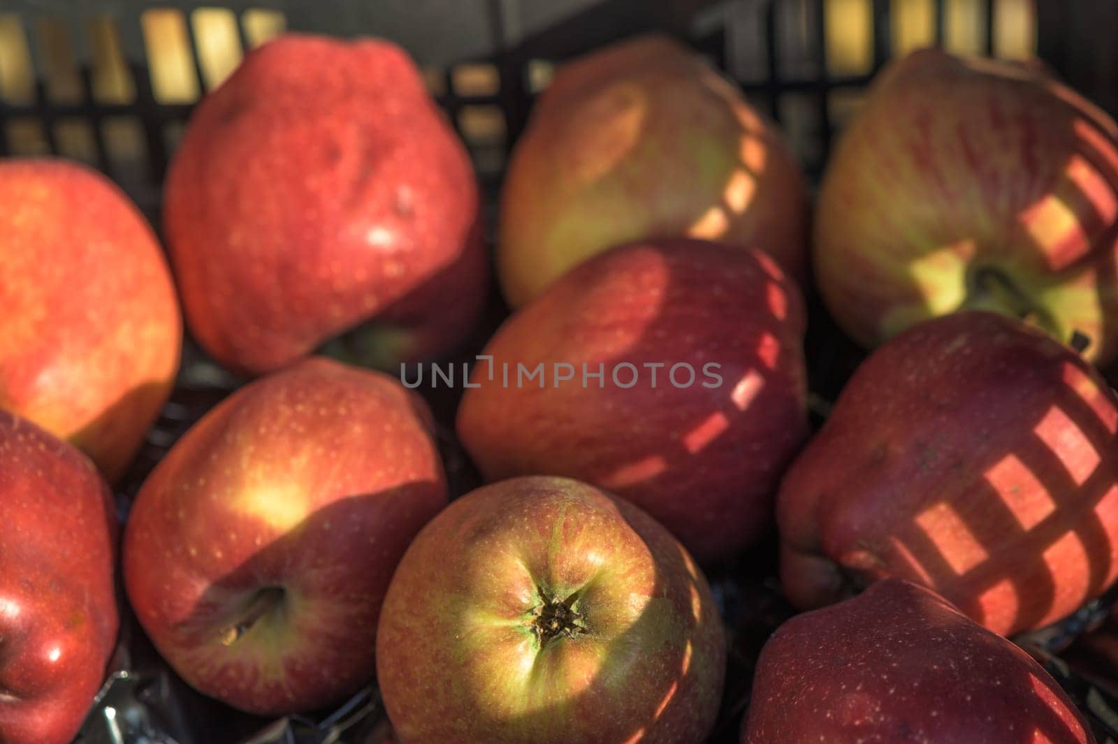 red apples at a local market in Cyprus