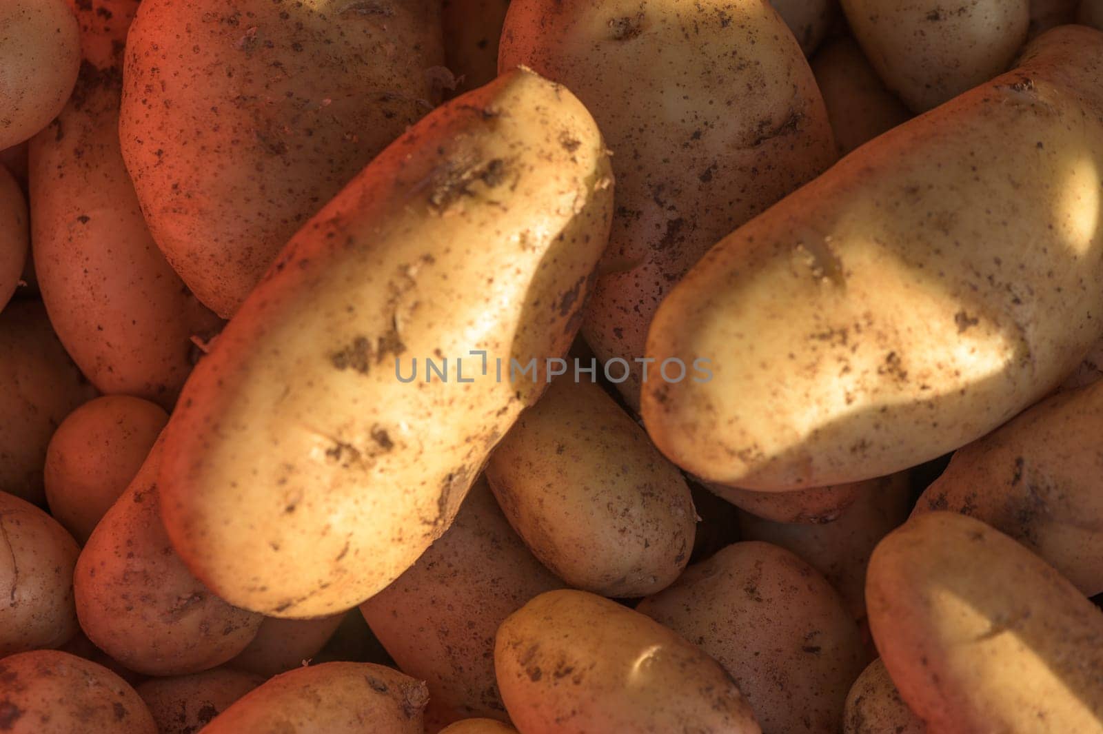 potatoes in a box near the store