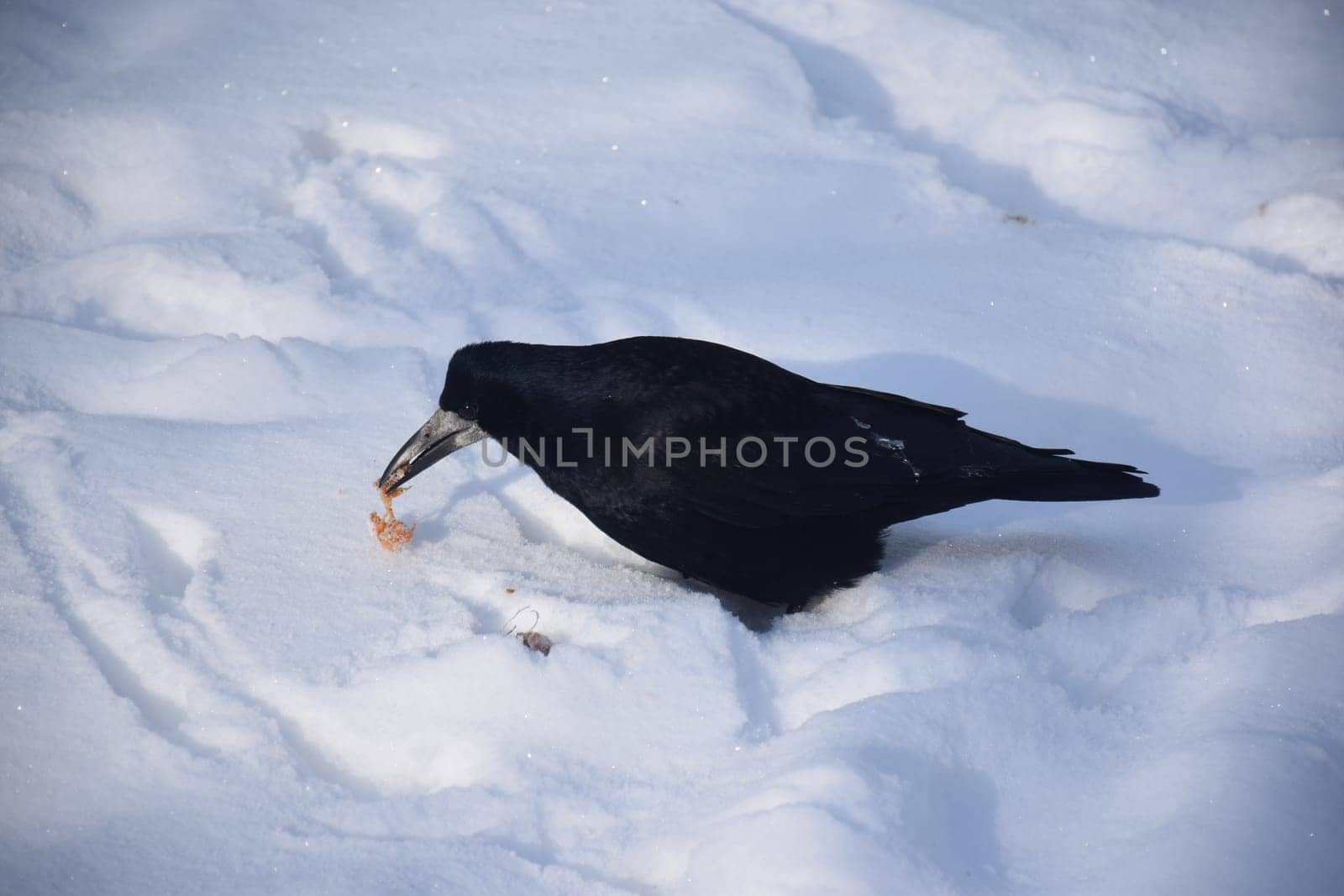 The empty wooden table top with blur background of winter in Finland. Exuberant image.