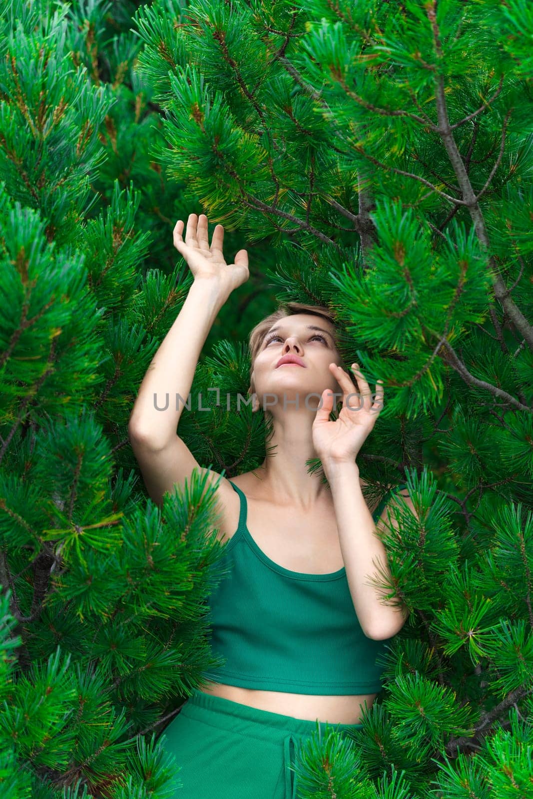 Nosy European woman pulls both hands up and looking up, poses against background evergreen shrub of Stone Pine. Sensual Caucasian adult female with short hair dressed in green crop top. Part of series