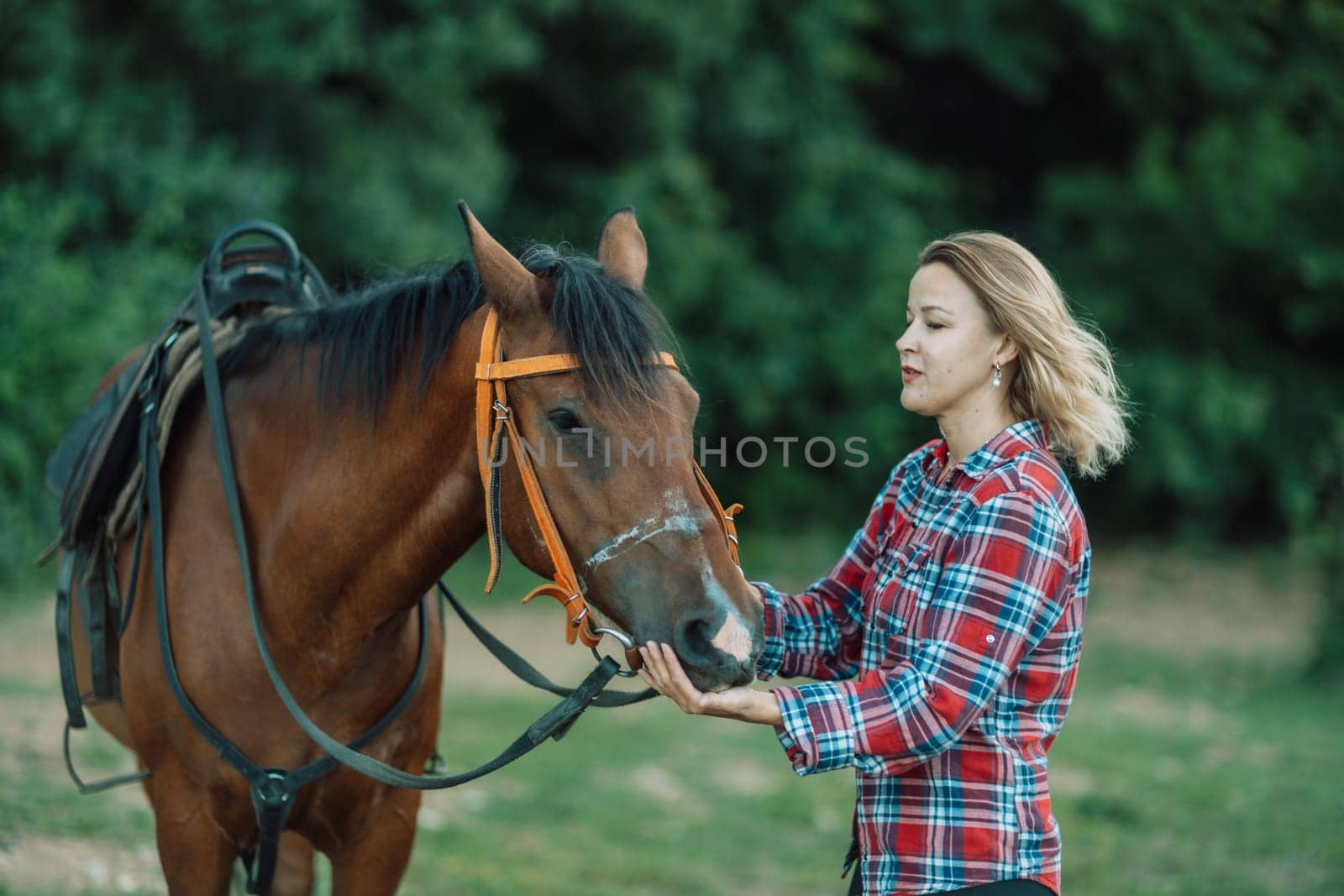 Happy blonde with horse in forest. Woman and a horse walking through the field during the day. Dressed in a plaid shirt and black leggings. by Matiunina