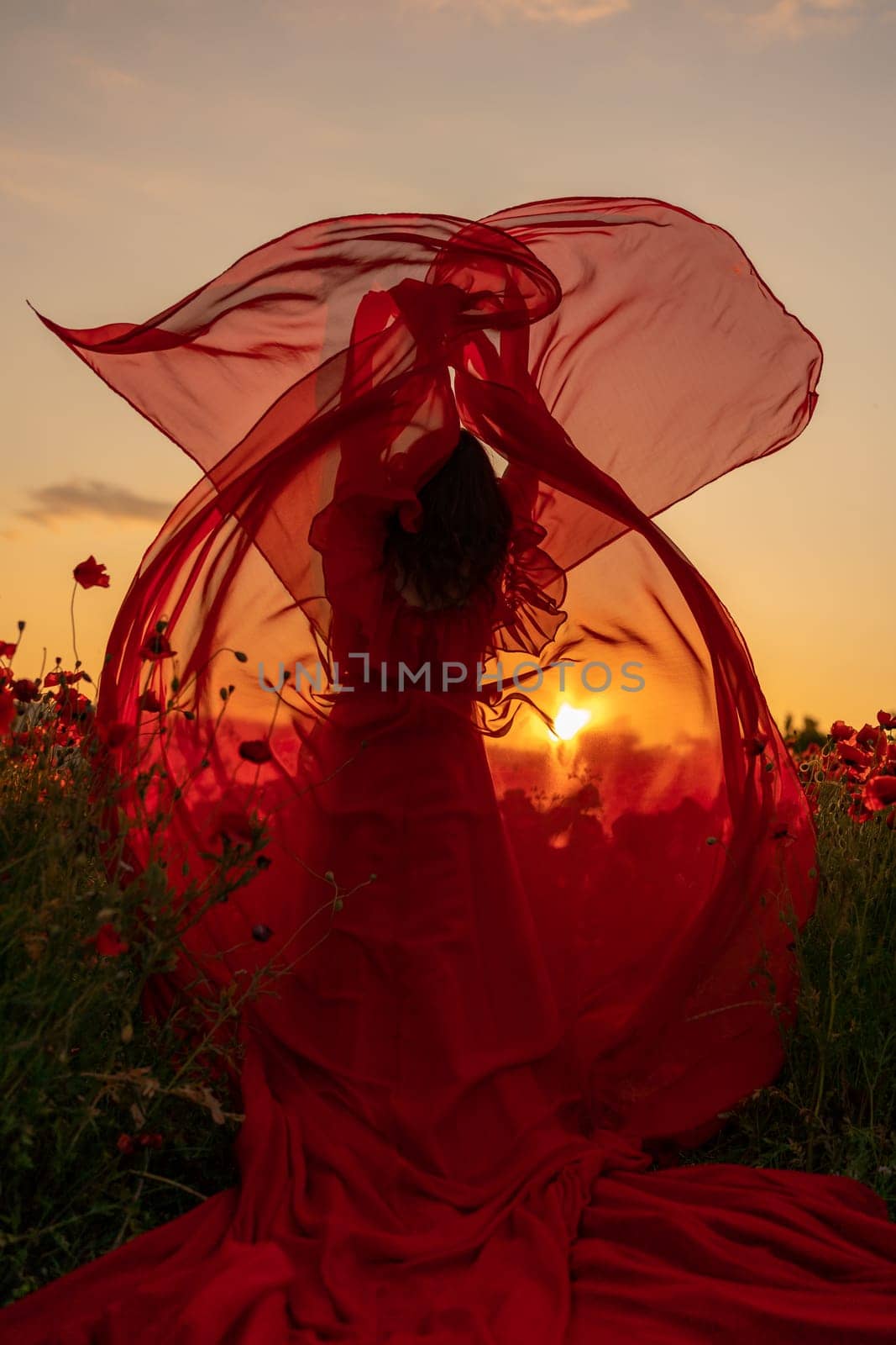 Woman poppy field red dress sunset. Happy woman in a long red dress in a beautiful large poppy field. Blond stands with her back posing on a large field of red poppies.