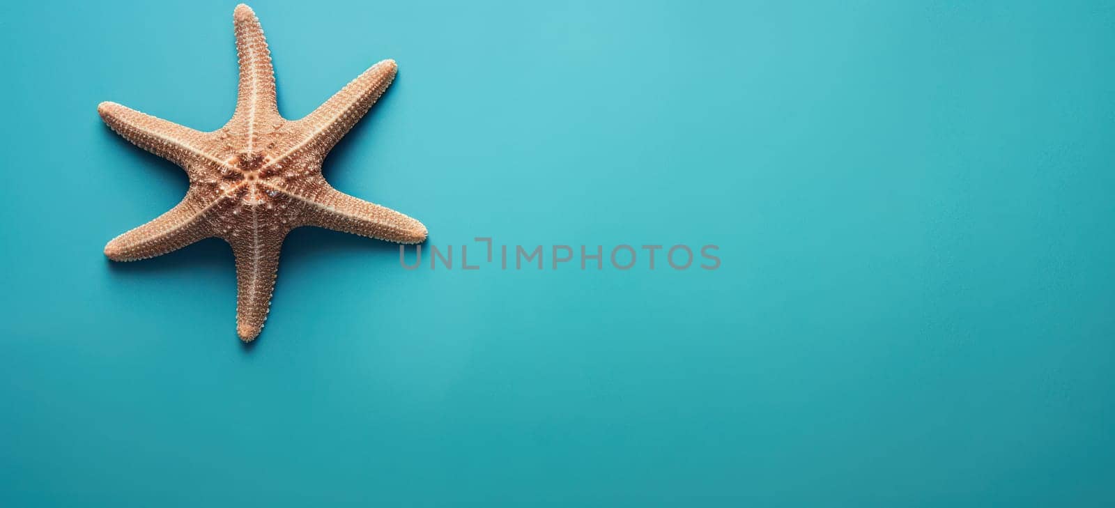 Stars of the Seashore: A Serene Blue Background with a Gorgeous Summer Vacation View - Starfish, Shells, and Marine Life Adorned with Exotic Patterns and Colorful Shapes by Vichizh