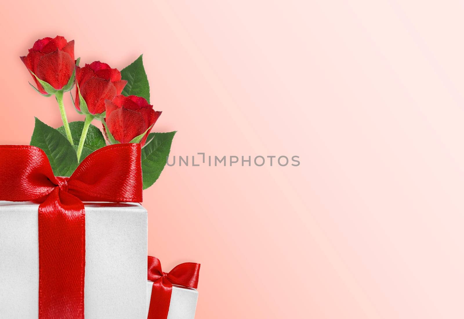 Valentines day and women's day greeting card. Red roses and gift box on pink background with space for your greetings.