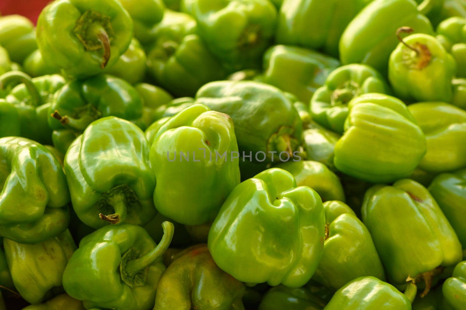 fresh green peppers at local market