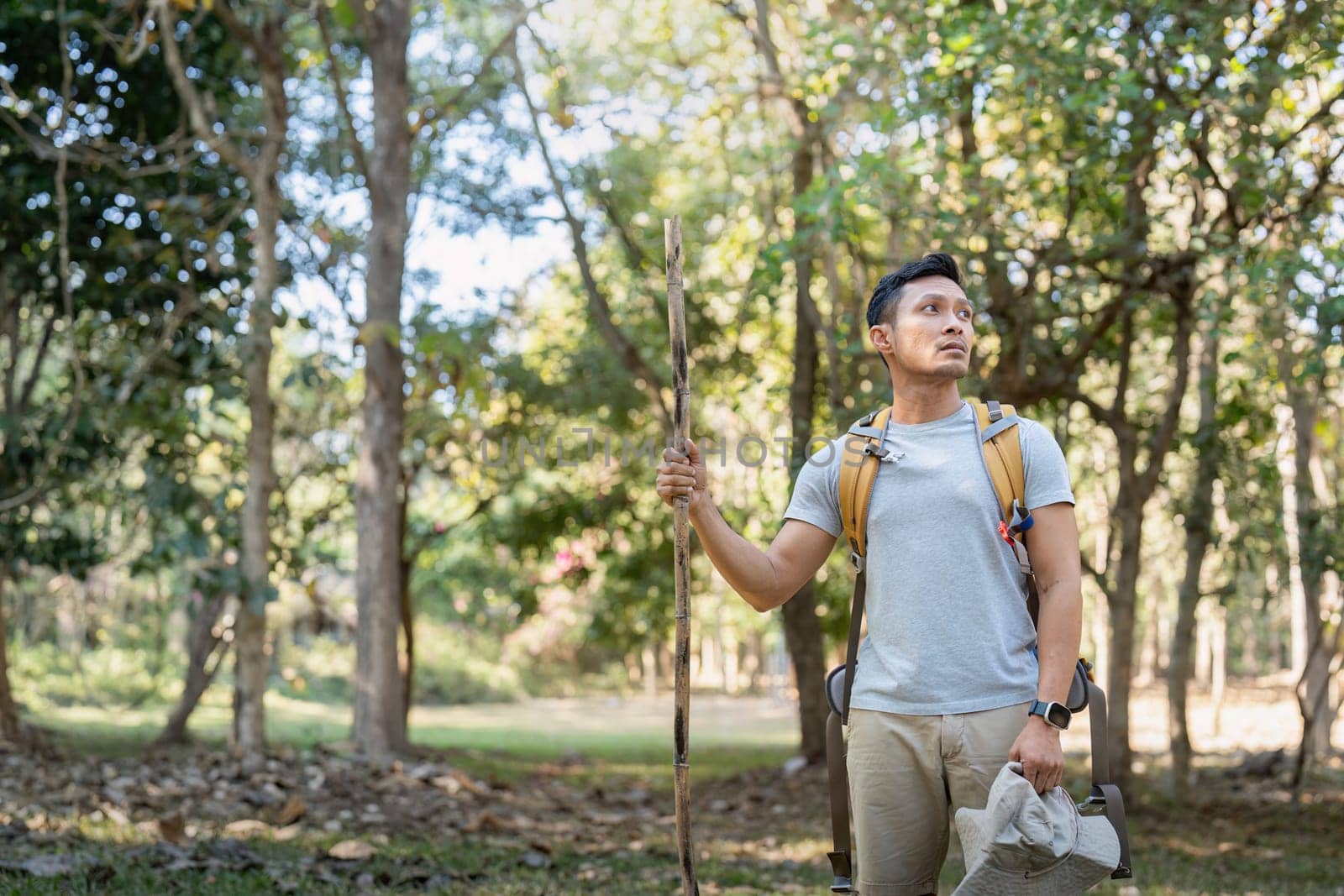 Young man asian trekking among trees with backpack, young man enjoy alone in forest. Camping, hiking, travelling, search for adventure concept by nateemee