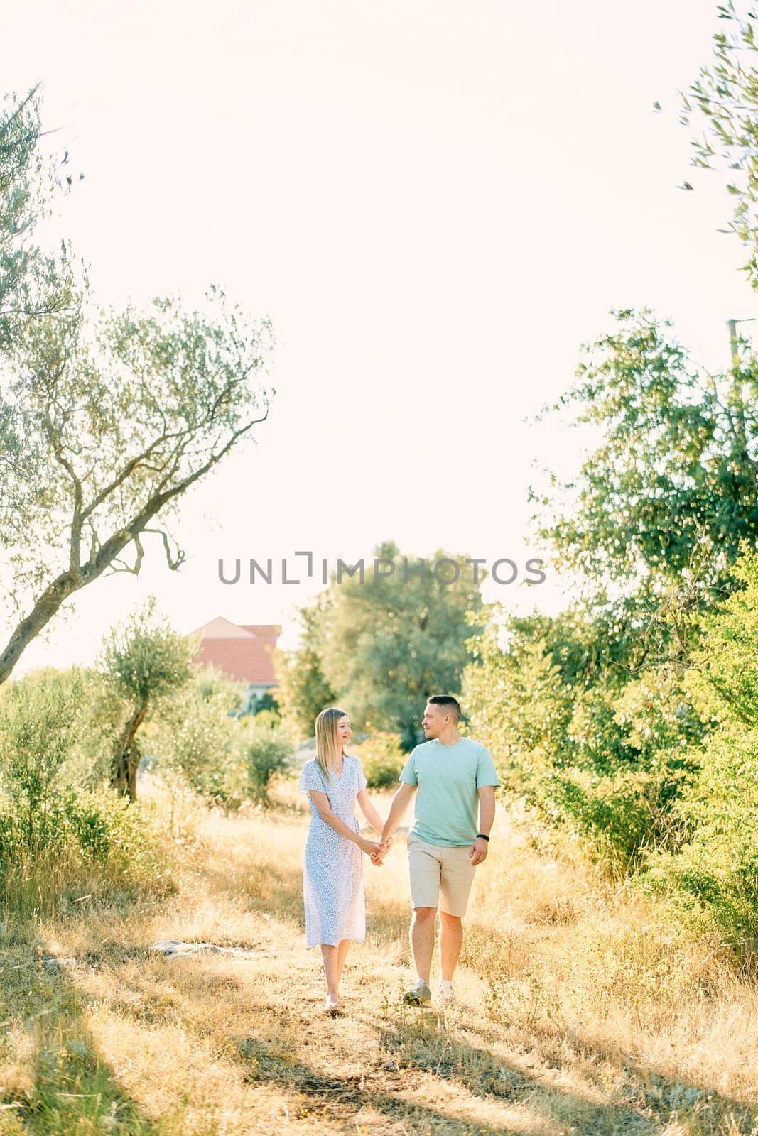 Man and woman walk on dry grass in a sunny garden holding hands by Nadtochiy