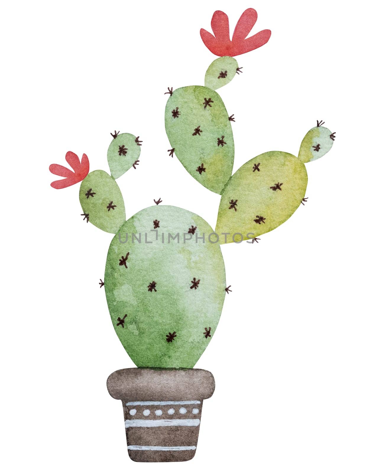 Hand-Painted Watercolor Of Potted Cactus by tan4ikk1