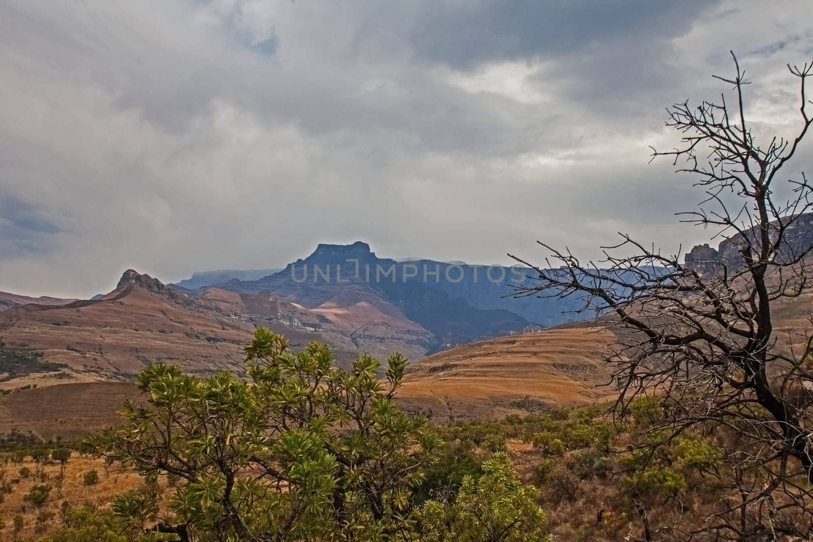 Drakensberg Mountain scene 15595 by kobus_peche