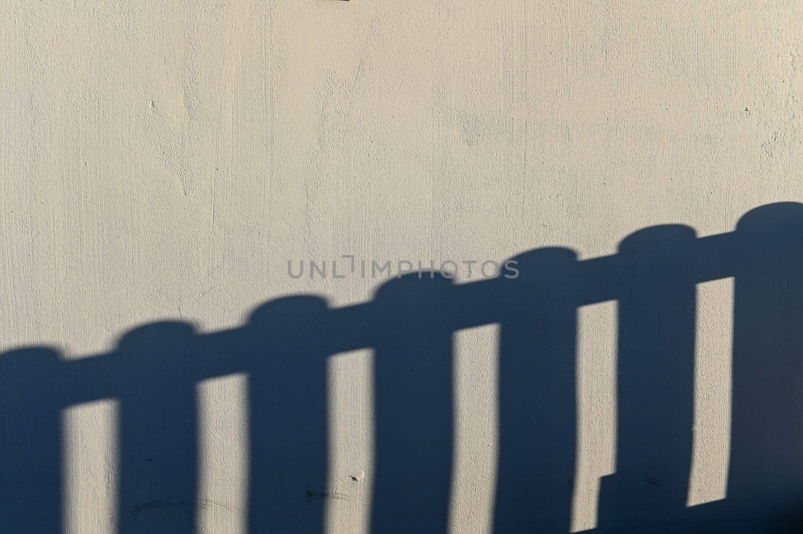 shadow from a hedge on a light wall 1