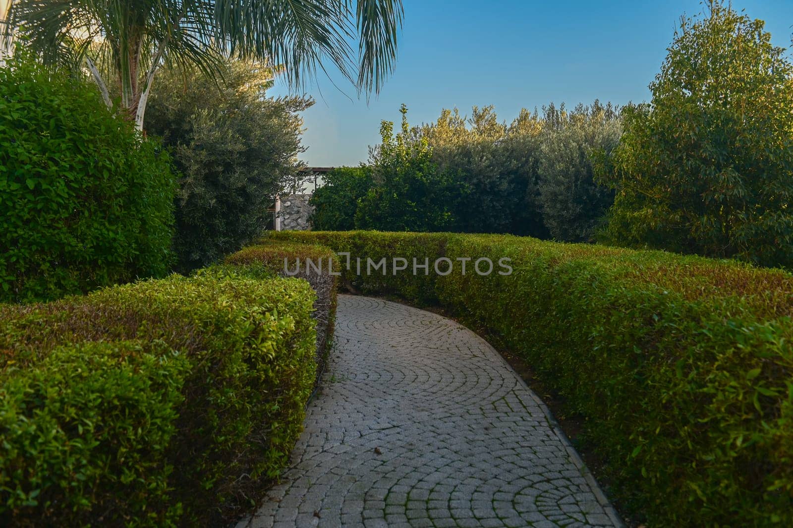 green fence in a residential complex