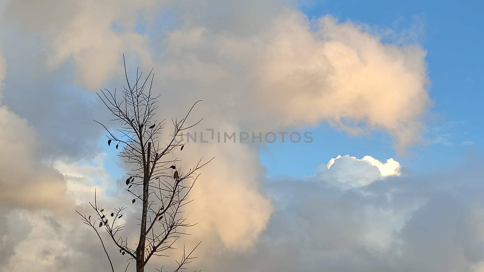 Blue light sky nature white clouds whether background . High quality photo