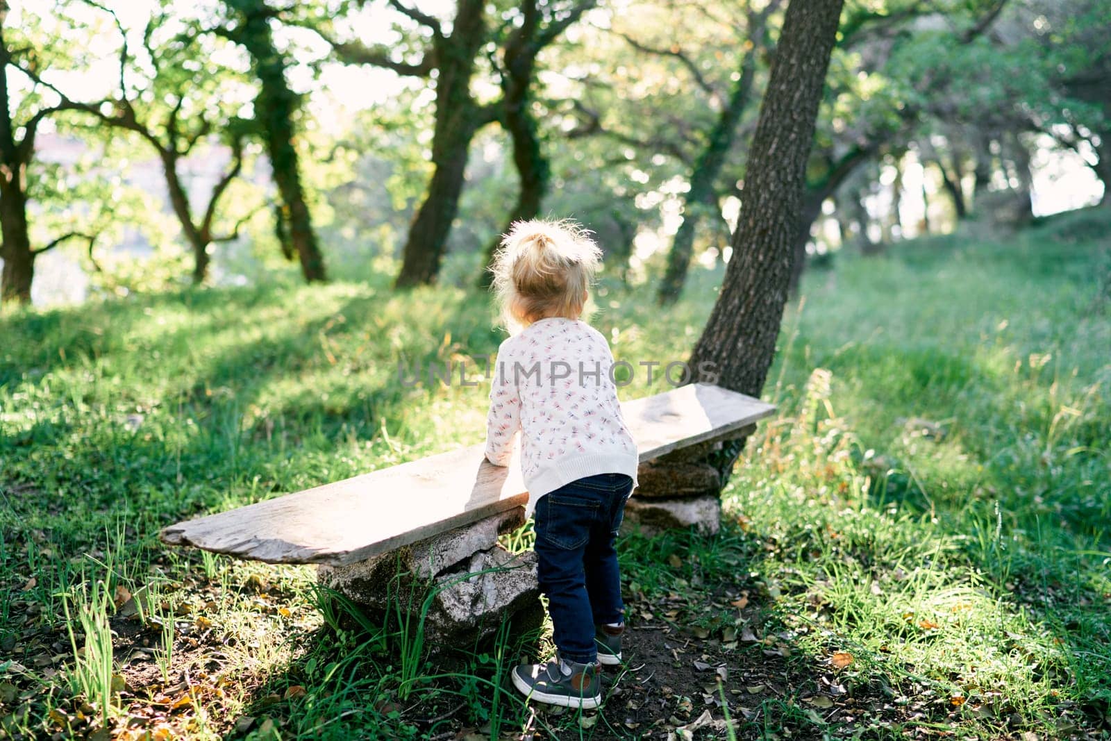 Little girl is standing in the forest, leaning on a bench. Back view. High quality photo