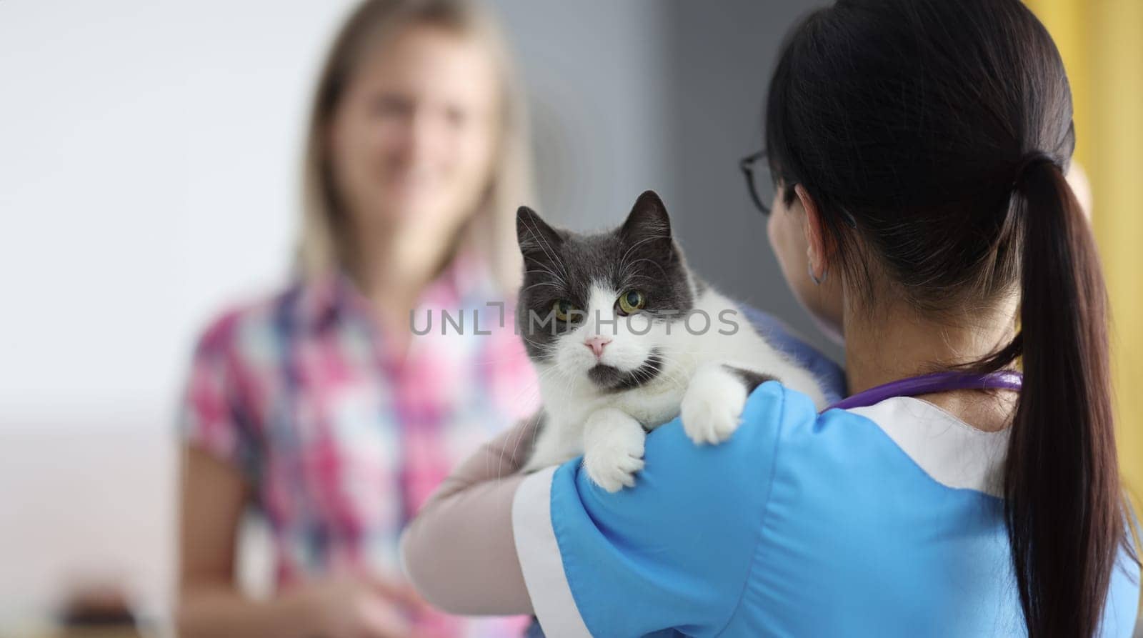 Veterinarian doctor holds cat in his arms. Volunteering and helping homeless animals concept
