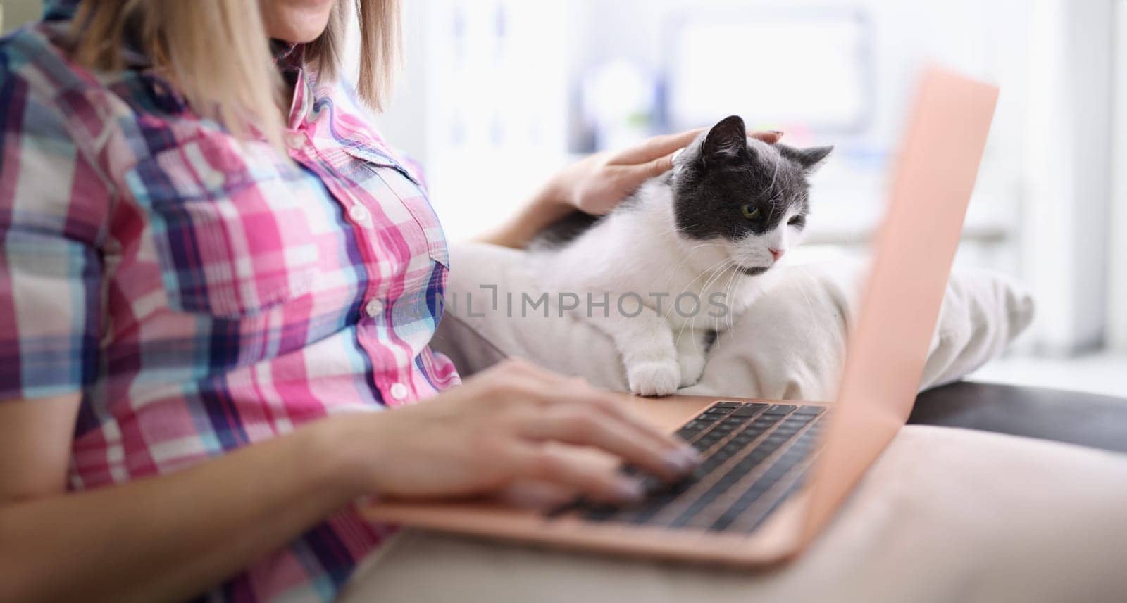 Woman sits on sofa with cat and works remotely on laptop. by kuprevich