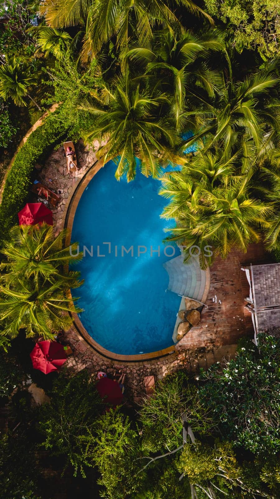 aerial drone view of a swimming pool in the jungle of Krabi Thailand by fokkebok