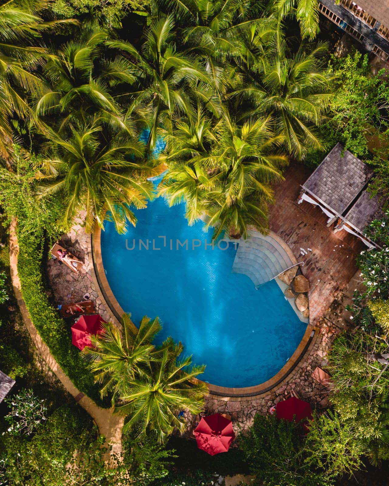 aerial drone view of a swimming pool in the jungle of Krabi Thailand by fokkebok
