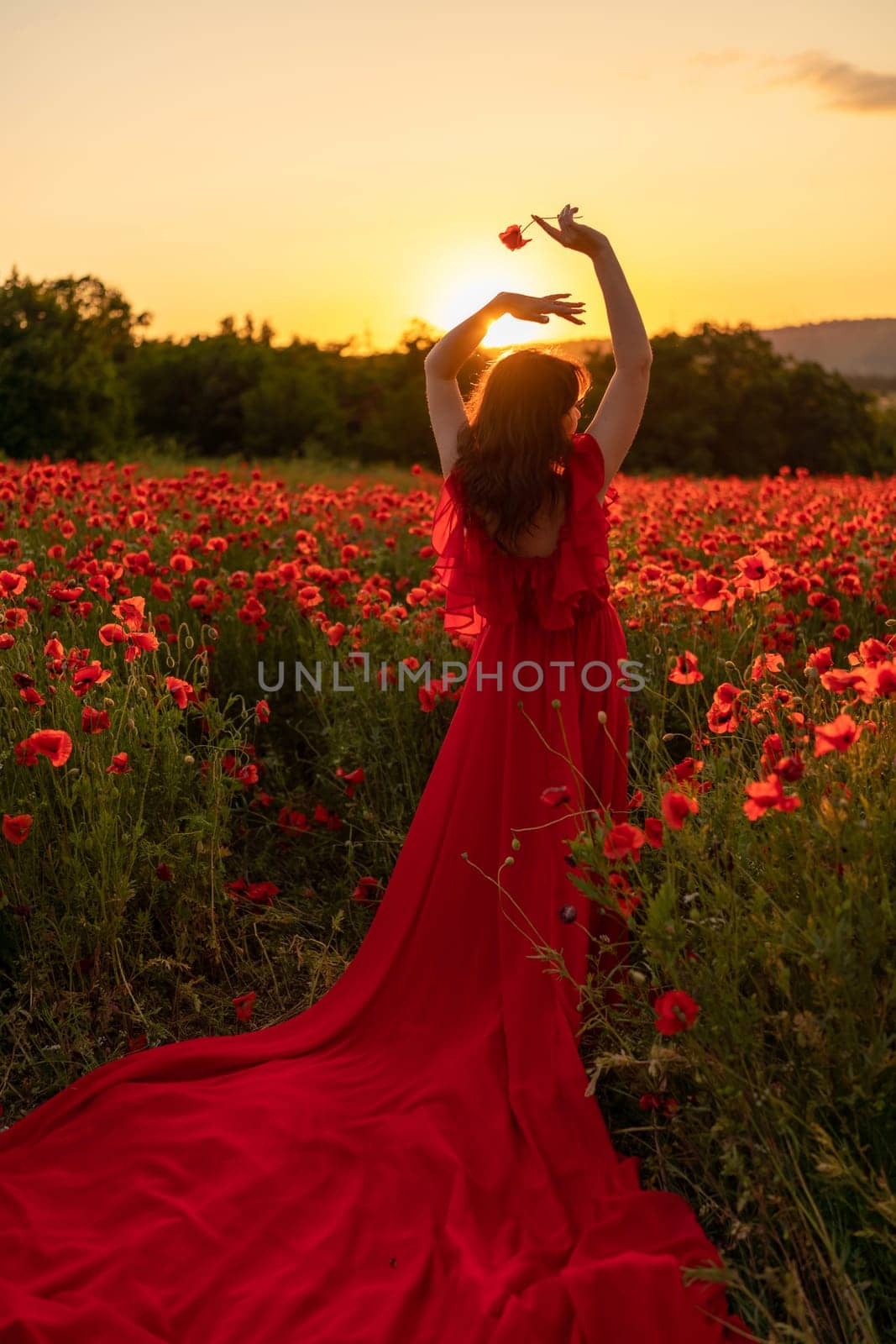 Woman poppy field red dress sunset. Happy woman in a long red dress in a beautiful large poppy field. Blond stands with her back posing on a large field of red poppies by Matiunina