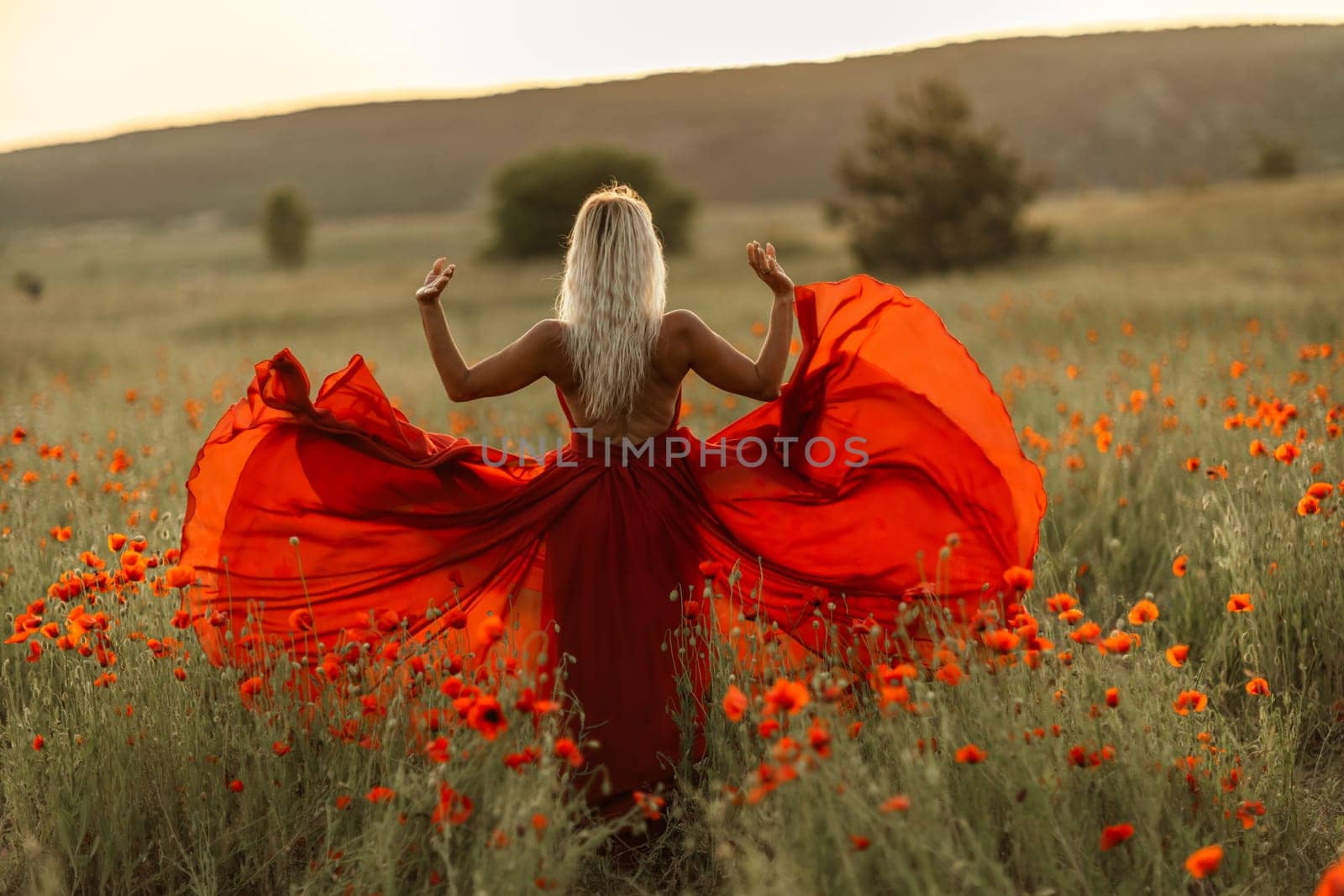 Woman poppy field red dress sunset. Happy woman in a long red dress in a beautiful large poppy field. Blond stands with her back posing on a large field of red poppies.