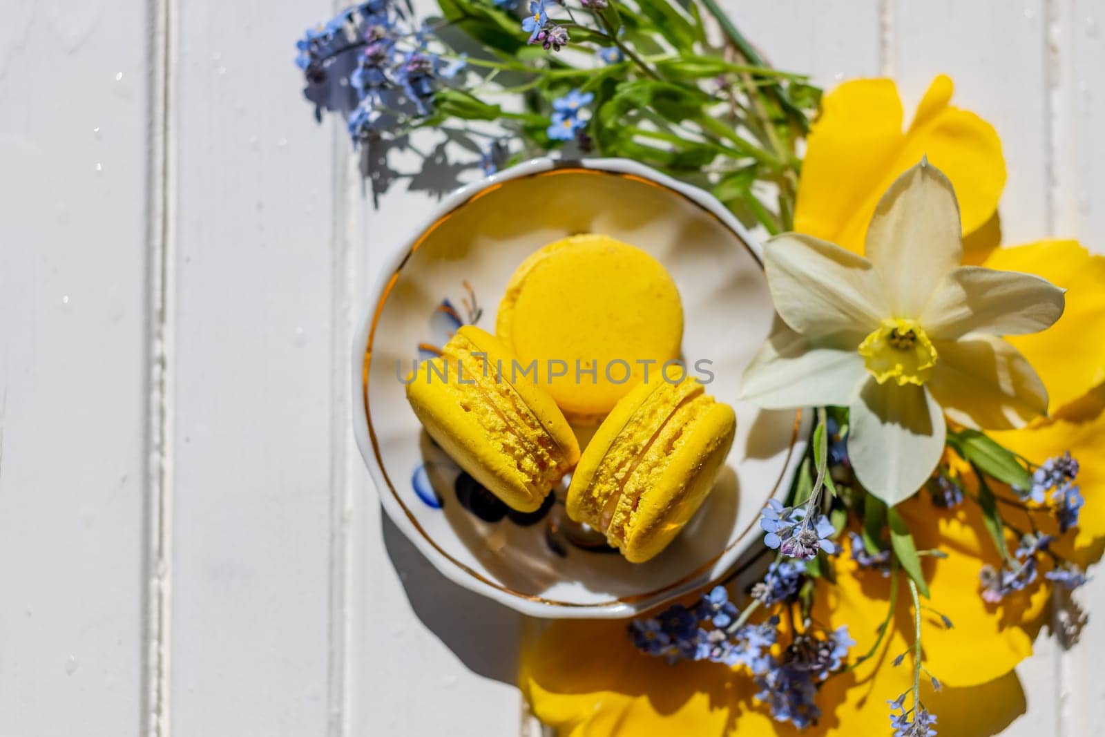 Beautiful still life with macaron biscuits and flowers